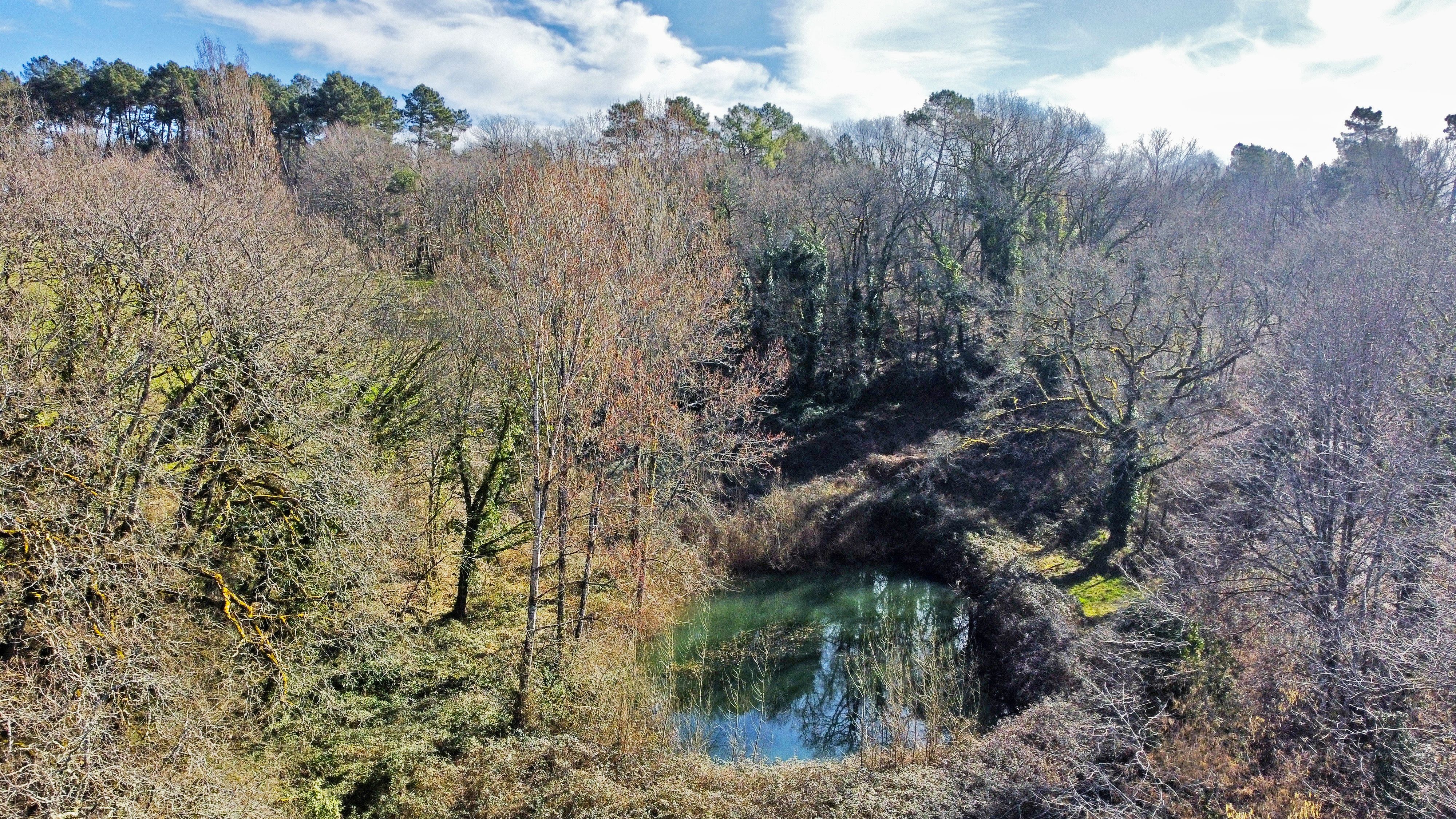 Etang à Rouffignac à Chalagnac
