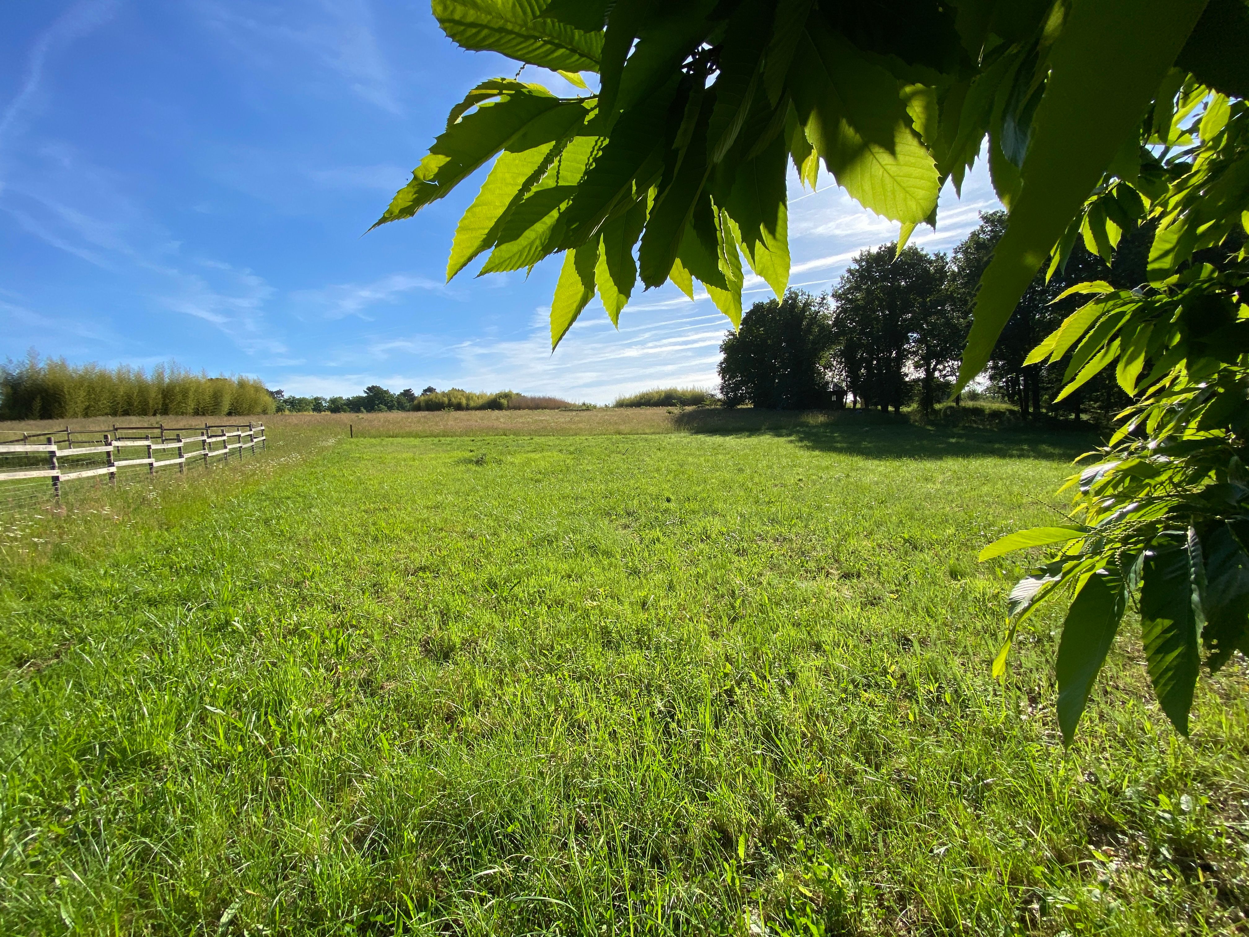 Calme & verdure à 3 km de l’axe Périgueux / Le Bugue à Chalagnac