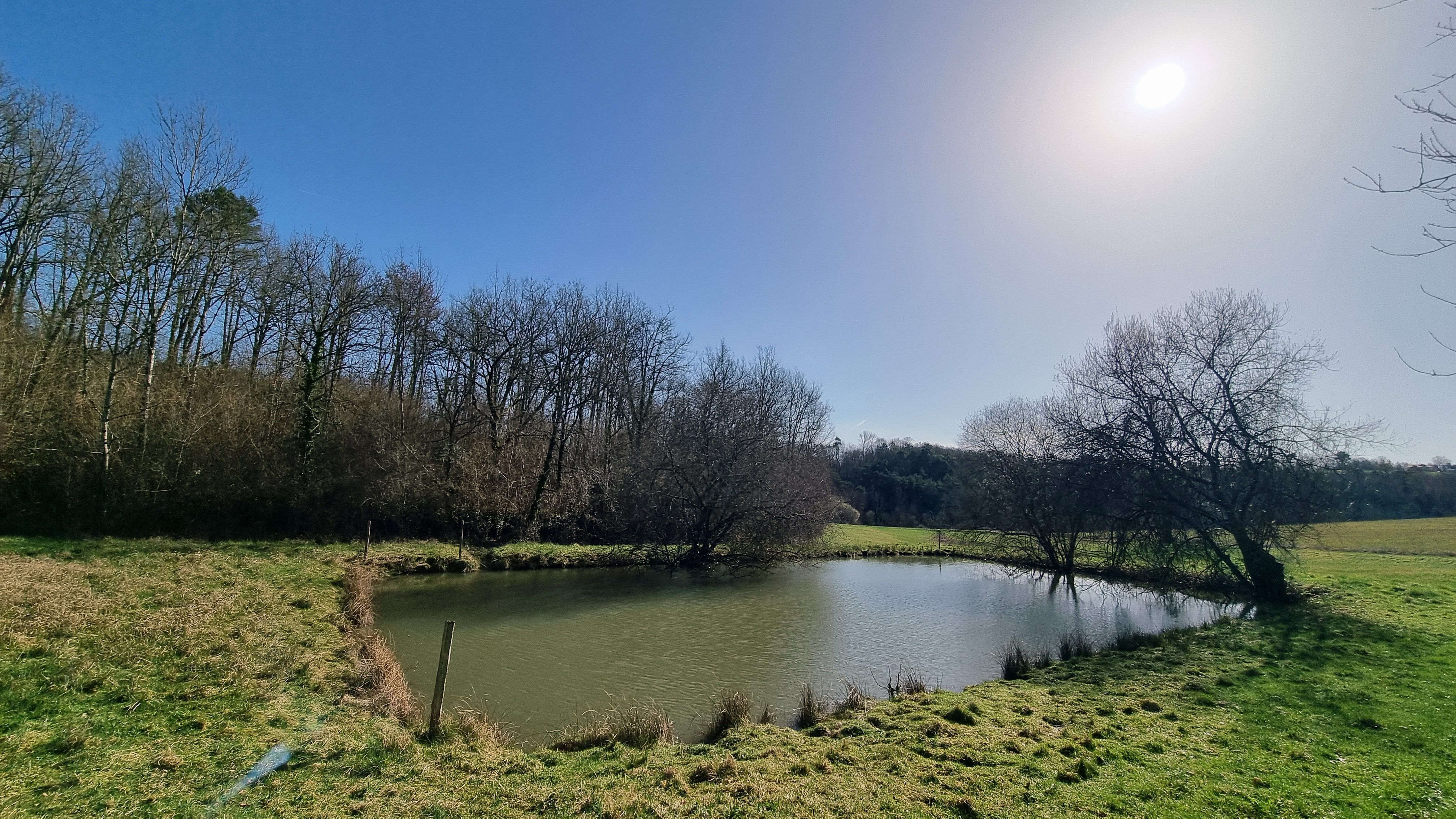 17ha avec source, étang, bois et prairie à Chalagnac