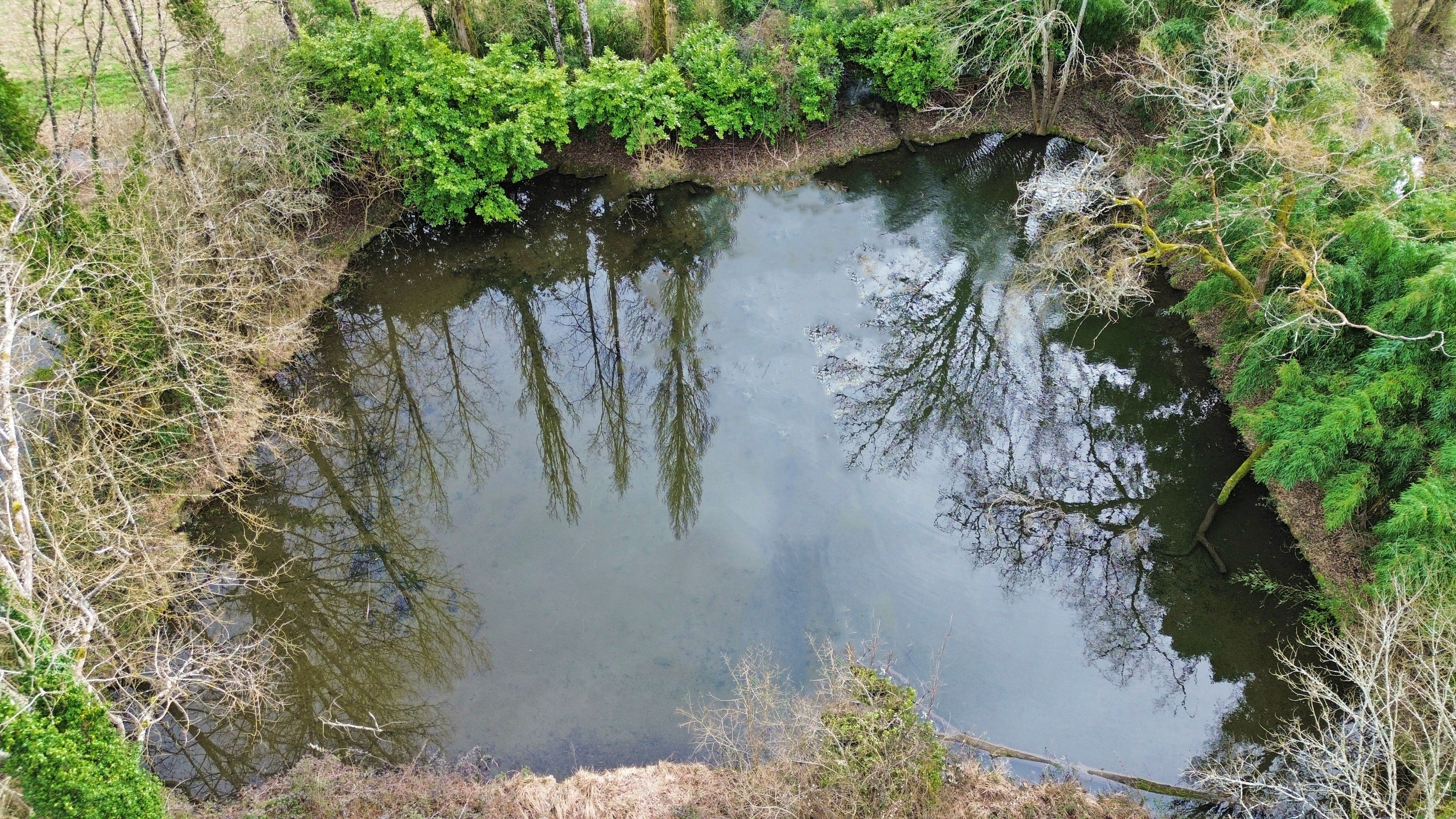 Etang avec terrain à truffiers à Val de Louyre et Caudeau